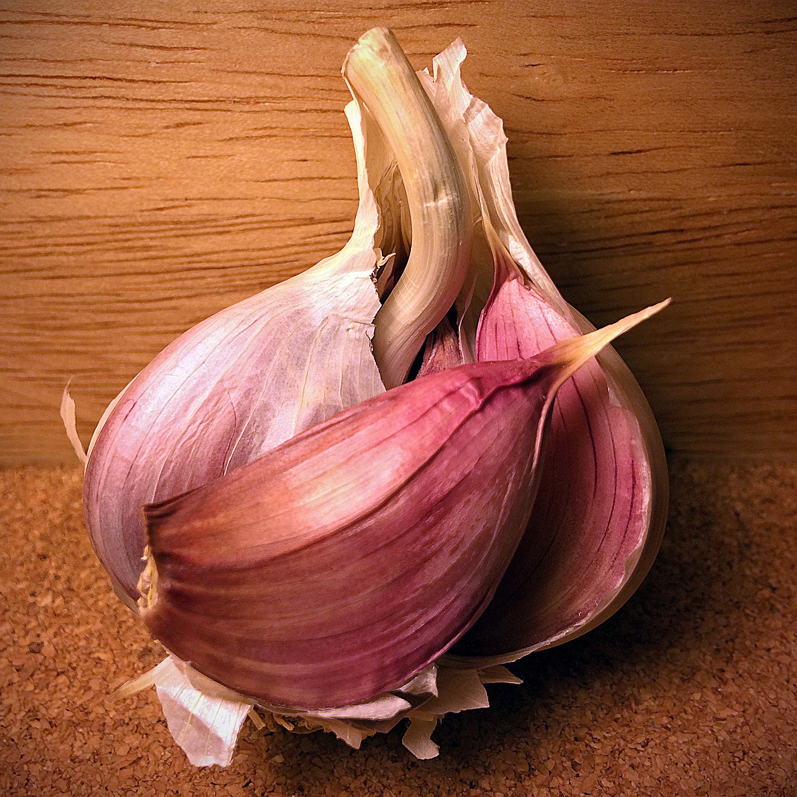 Garlic