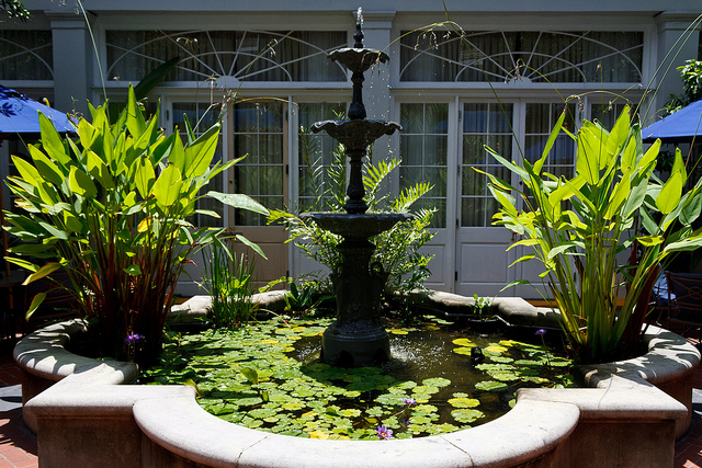 gardens