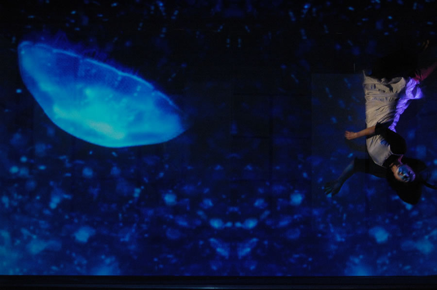 jellyfish image in the wind-up bird chronicle